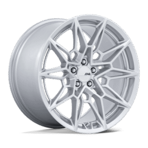 American Racing STAMPEDE 19x11 5x4.5 70 +50 G-SLV