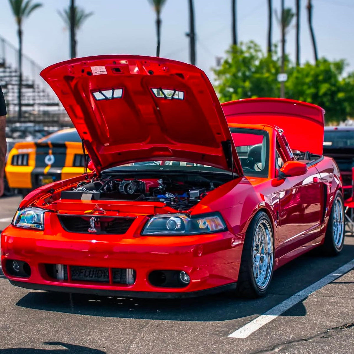 SK11 Chrome