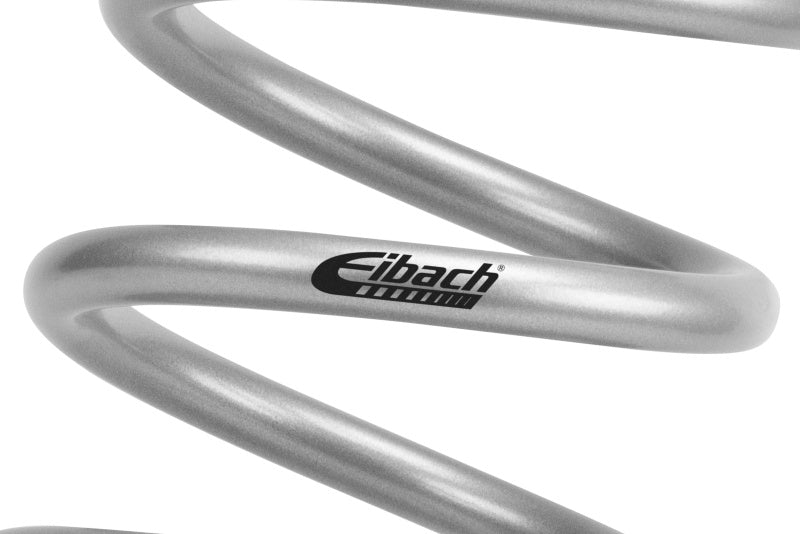 Eibach 24-25 Ineos Grenadier Pro Lift Kit HD Rear Springs