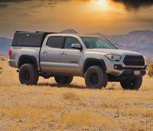 Elevate Chromoly Uniball UCA, 2005-2023 Tacoma 2/4WD