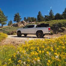 Elevate Chromoly Uniball UCA, 2005-2023 Tacoma 2/4WD